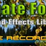 The Recordist Releases Ultimate Foliage