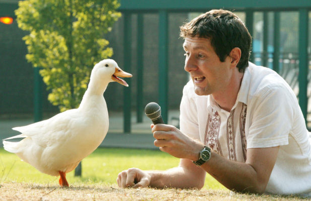 Does a duck's quack echo? BBC News