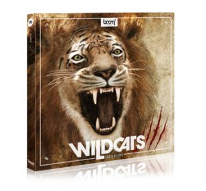 wildcats_t-l_productdetail
