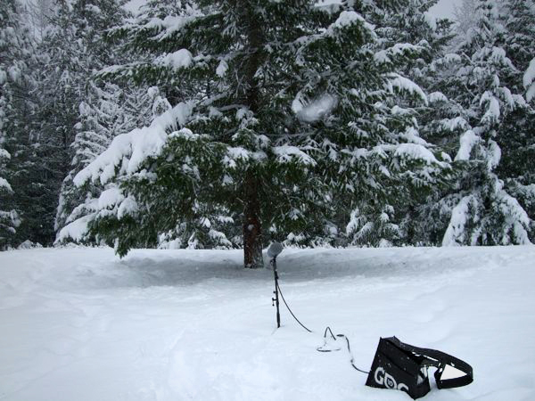 A boom mic sits in the snow recording the wintery ambience as the digital recorder sits in a GDC bag. Article written by Adriane Kuzminski.
