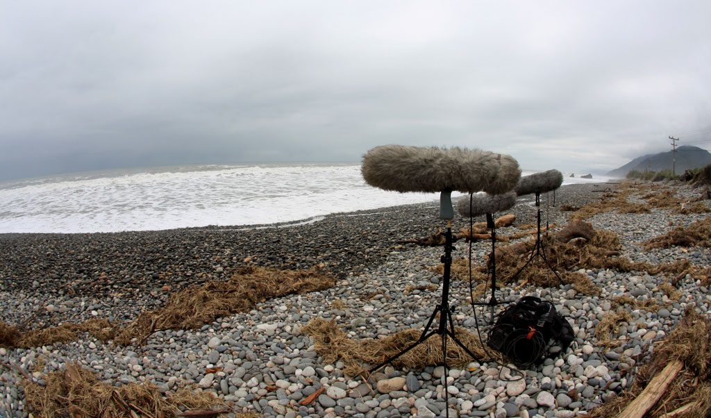Three boom mics sit on a rocky beach facing a choppy sea underneath a blanket of dark clouds. Article written by Adriane Kuzminski.