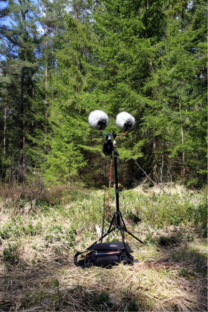 A mic setup points at trees from a forest clearing.
