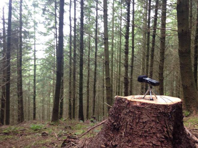 A microphone sits on a stump in a hazy evergreen forest. Article written by Adriane Kuzminski.